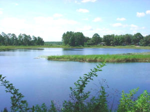 Mill Dam lake view south side