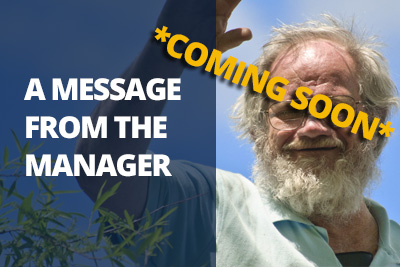 message-from-manager-lake-bryant